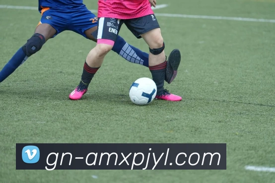 新葡京娱乐APP 封面图